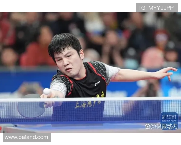 乒乓球的魅力与精神：深入了解杭州乒乓球队的训练与文化